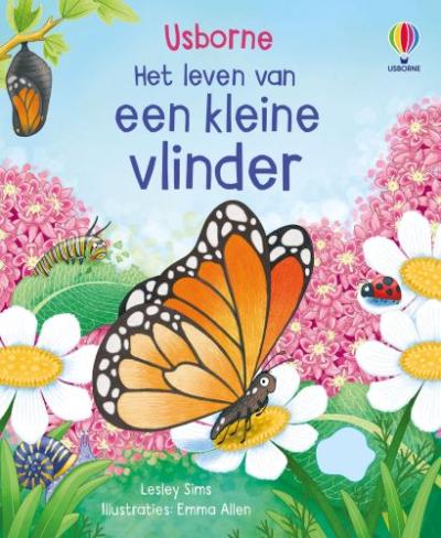 Een kleine vlinder - Kartonboek